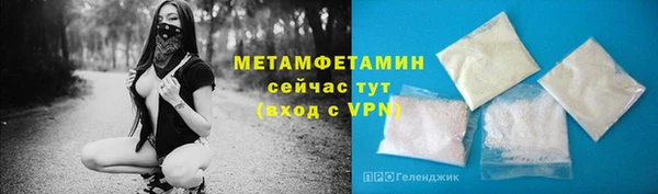 прущие грибы Няндома
