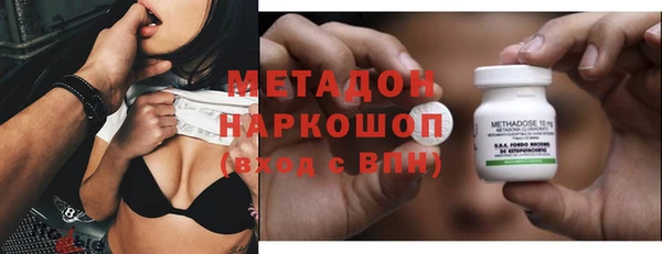 прущие грибы Няндома