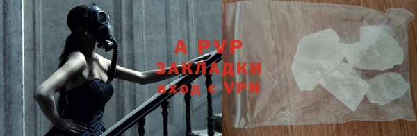 прущие грибы Няндома