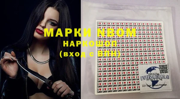 прущие грибы Няндома